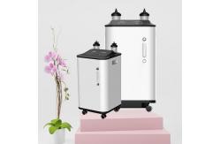 China Physical Therapy 1 - 10L Oxygen Concentrator With Nebulizer And LED Screen supplier