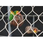 20mm-300mm Aperture Stainless Steel Rope Mesh High Durability for sale