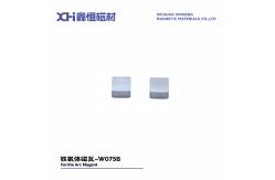 China High Performance Permanent Magnet Ferrites For Different Motors W075B supplier