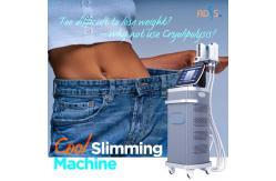 China 360 Cryolipolysis Machine , Ultrasonic Cavitation Slimming Machine supplier