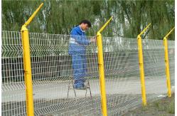 China 50x200mm 3D Wire Mesh Fence PVC Coated Wire Mesh Fencing Yellow supplier