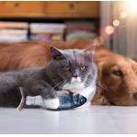 Interactive Flopping Fish Cat Toy With Catnip Bag Flapping Fish For Cats