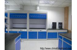 China Lab Draught Cupboard With Ventilation System For Laboratory Equipment supplier