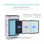 Homefish Fast Dispatch OEM Air Scent Diffuser Anion Air Purifier CFM 99%