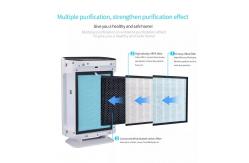 China Homefish Fast Dispatch OEM Air Scent Diffuser Anion Air Purifier CFM 99% supplier