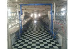 China 24-100 point Herringbone Milking Parlour Automatic Cow Machine System supplier
