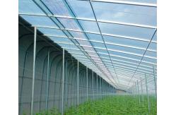 China Initial Payment Snow Vibrator Greenhouse for Agriculture Unheated Heating Method supplier
