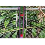 1.2mm Ferrule Cable Mesh Garden Security Plant Climbing 50*50 Mm Hole for sale