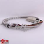16137-119  Siemens  Moore APACS Interconnect I/O Cable - 8M