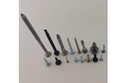 China Self Drilling Screws Self Tapping Screw Wood Screw supplier