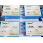 Rechargeable Li Ion Battery Pack 48V 230AH With Metal Case