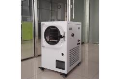 China Freeze Dryer Drying Lyophilization Equipment Machine Price Freeze Dryer supplier