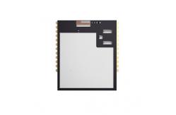 China Wireless Communication Module MGM12P02F1024GA-V1 2.4GHz Wireless Mesh Modules supplier