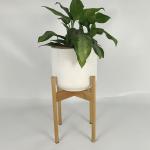 Wholesale Real Plant Display With Fiber Clay Planters Decoration