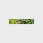 37.8 Inch Advertising LCD Display Bar Type 1920*387 LVDS 2000nits for sale