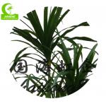 Durable Height 140cm Artificial Potted Floor Plants Small Size