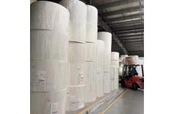 China Compostable Condensation Control PE Coated Paper Roll for Hot or Cold Cup supplier