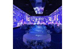 China Customized Outdoor Forest 3d Mapping Interactive Projector Immersive Visual Projection supplier