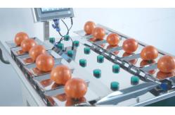 China 250g 500g 1000g Manual Packaging Machine Vegetables Fruits Weighing supplier