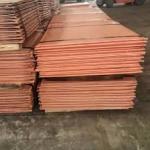 Payment Term L/C with Width 1000mm-3000mm available now for chemical Industry for sale