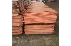 China Standard Export Seaworthy Package with Nickel Plate 8K Surface supplier