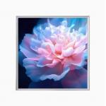 2024 New Factory 29.5 Inch Ultra Thin Mini LED Square LCD Monitor Display For Digital Picture Frame Art Exhibition for sale