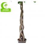 Fire Retardant Aesthetic Faux Ficus Plant , 8ft Artificial Palm Tree In Green