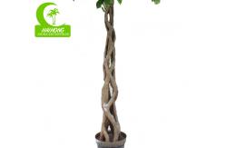 China Fire Retardant Aesthetic Faux Ficus Plant , 8ft Artificial Palm Tree In Green supplier