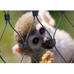 SUS316 Inox Zoo Wire Mesh Transparent Zoo Aviary Mesh Weather Resistant