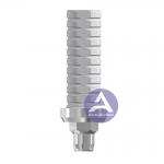 Biomet 3I Certain® Titanium Temporary Abutment Compatible  NP 3.4mm/ RP 4.1mm/ WP 5.0mm (Engaging & Non-Engaging) for sale