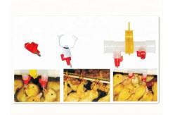 China chicken drinker for farm automatic poultry plastic drinking line supplier