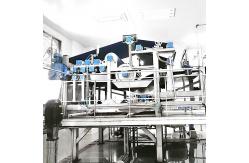 China Automatic 380V Mango Processing Line Industrial Juice Making Machine supplier