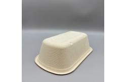 China Biodegradable Sustainable Bagasse Sugarcane Clamshell Box With Lid supplier
