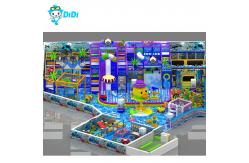 China Didi Ocean Theme Indoor Playground for Kids with Carousel and Whirligig supplier