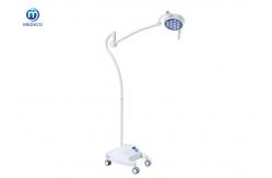 China Portable Floor Model Surgical LED Examination Light Small Diameter Head supplier