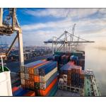 Sea Freight Efficient Customs Clearance for sale