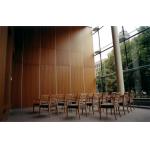 Folding Doors Multi Color Movable Wall Track Acoustic Room Divider For Conference Room for sale