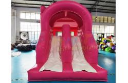 China Frozen Double Slide Bounce House Combos Inflatable Bouncer supplier