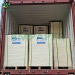 Natural White 600um 900um Double Sided Uncoated Beer Pads Paperboard for sale