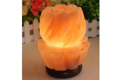 China OEM Carved Himalayan Salt Lamp With Solid Wooden Base supplier