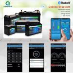 Replaceable RV LifePO4 Battery , DIY Replace Lead Acid Battery With Lithium