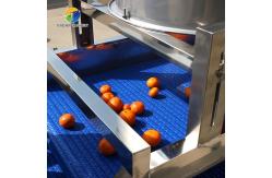 China 1500KG/H Fruit And Vegetable Processing Line cleaning Sorting Machine supplier