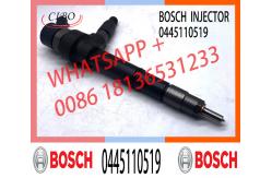 China Common Rail Diesel Injector 0445110519 For Mercedes Benz MITSUBISHI Engine supplier