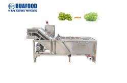 China SUS304 Fruit And Vegetable Washing Machine Grape Cleaner Machine supplier