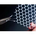 PP Plastic Mesh For Farm Chicken Fence 1mm Plastic Flat Netting