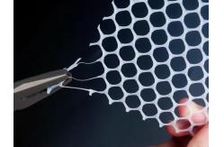 China PP Plastic Mesh For Farm Chicken Fence 1mm Plastic Flat Netting supplier