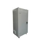 Lead Lined Cabinet For Storaging And Transporting Radioactive Materials