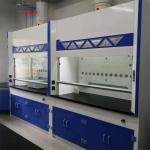 Vertical Airflow Laboratory Fume Cupboard With Fume Scrubber for sale