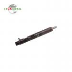 Diesel Fuel Injector EJBR03101D 166001137R for Delphi Engine