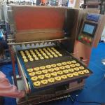 Rosette Cream Biscuit Chocolate Chip Cookie Machine Depositor Automatic